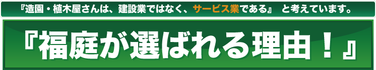 ���c�A�ʐ�w���A����