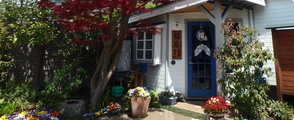 ���c�A�ʐ�w���A����