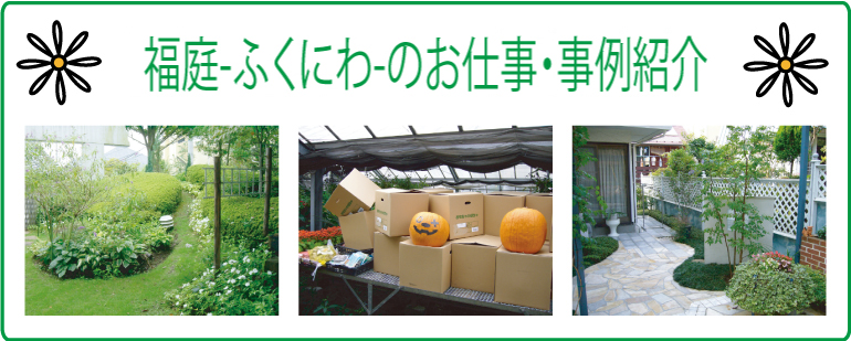 ���c�A����A����