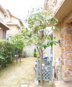 ���c�A����A����