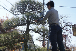 ���c�A����A����