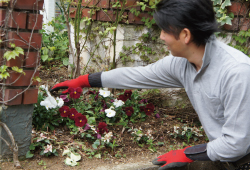 ���c�A�O�\�A�G�N�X�e���A�H���A�����A�t�F���X�A�J�[�|�[�g