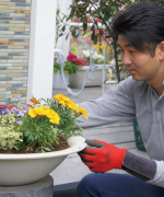 ���c�A�O�\�A�G�N�X�e���A�H���A�����A�t�F���X�A�J�[�|�[�g